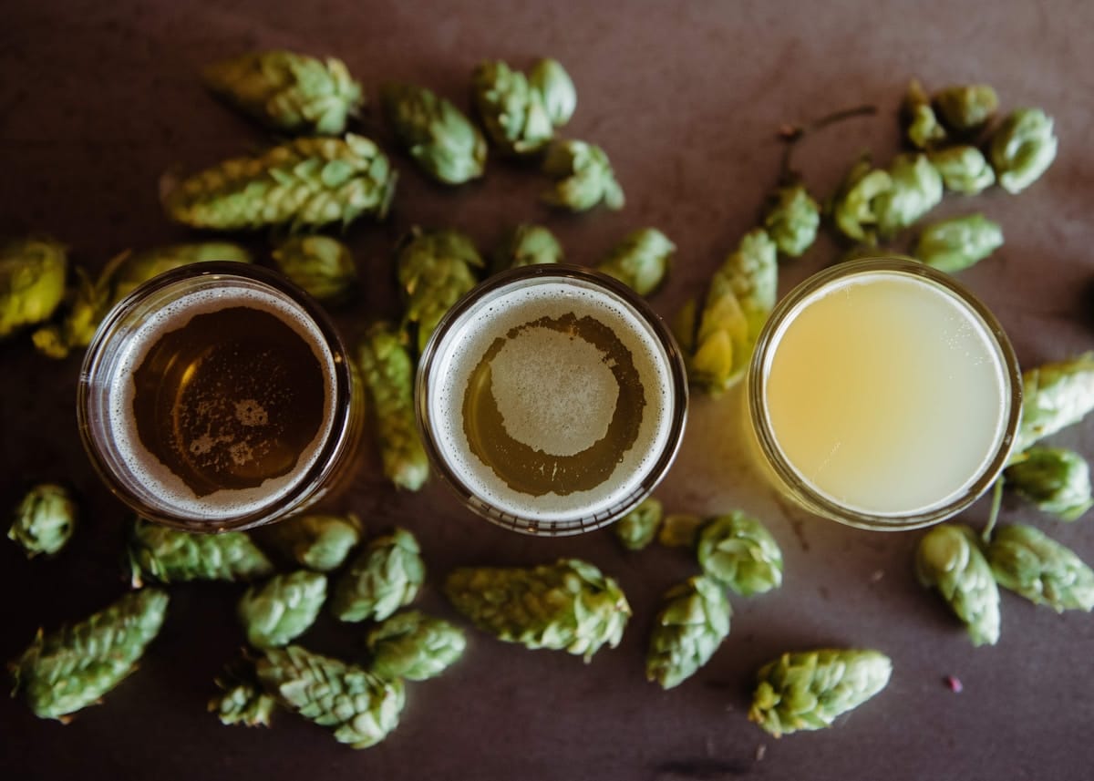Pessoas brindando com cerveja artesanal kveik em ambiente descontraído