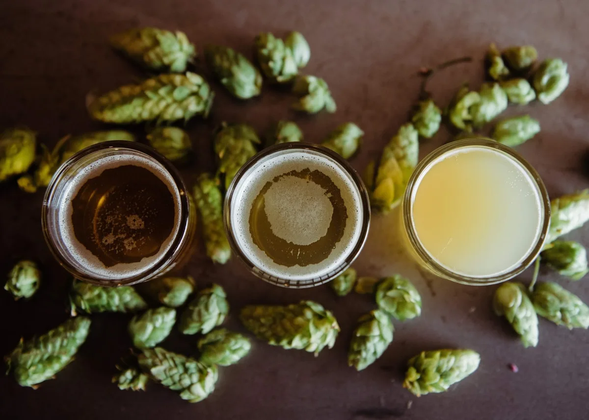 Pessoas brindando com cerveja artesanal kveik em ambiente descontraído